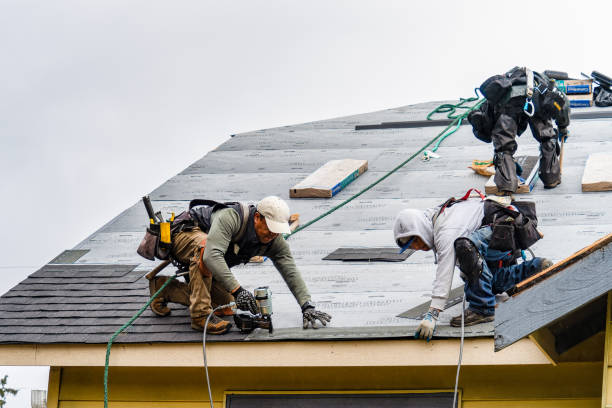 Professional Flat Roof Repair technician working in Apulia Station, NY